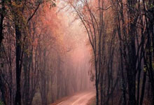 勇士今天比赛打得怎么样？直播里都有哪些精彩瞬间？