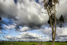 葡超卡萨皮亚对阵埃斯托里，谁能在这场较量中占得先机？