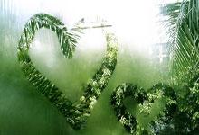 篮球比分90电脑版是什么？该怎么用？有哪些特点？