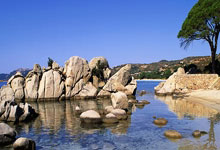 世界杯排名历史是怎样演变的？不同阶段有哪些关键变化？